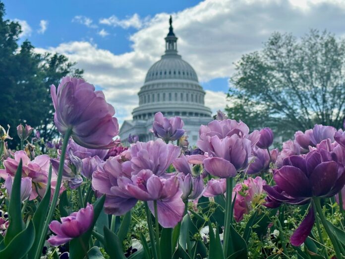 D.C.-area forecast: Bright and breezy today; heating up into the 80s later this week