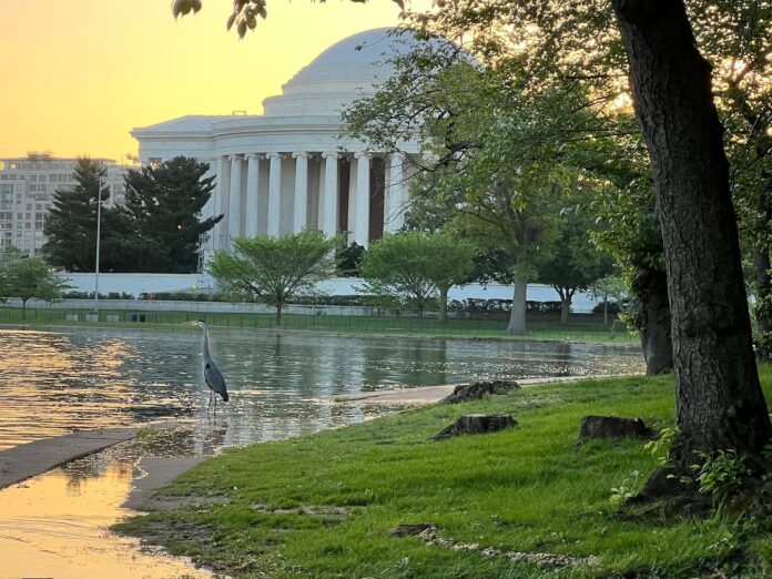 D.C.-area forecast: Terrific today before a shot at 90 degrees Thursday and Friday