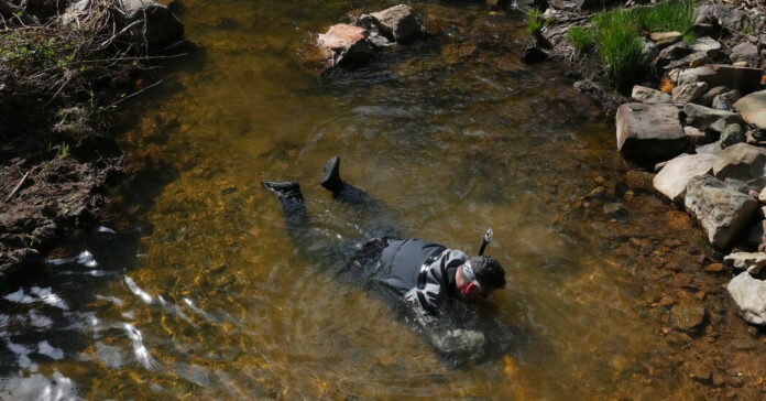 Eureka! After California’s Heavy Rains, Gold Seekers Are Giddy.